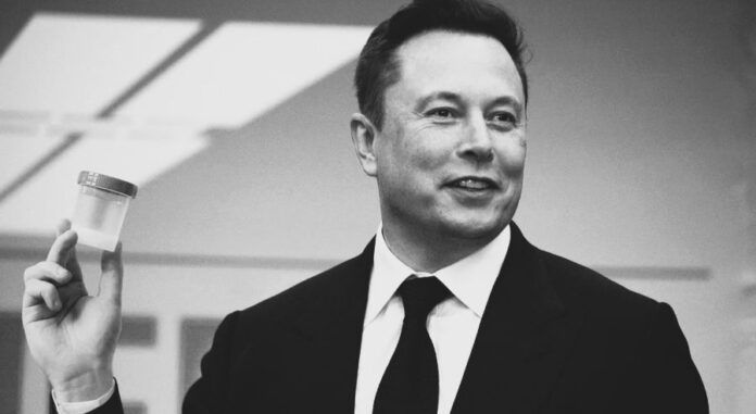 Elon Musk Holds Office-Wide Contest