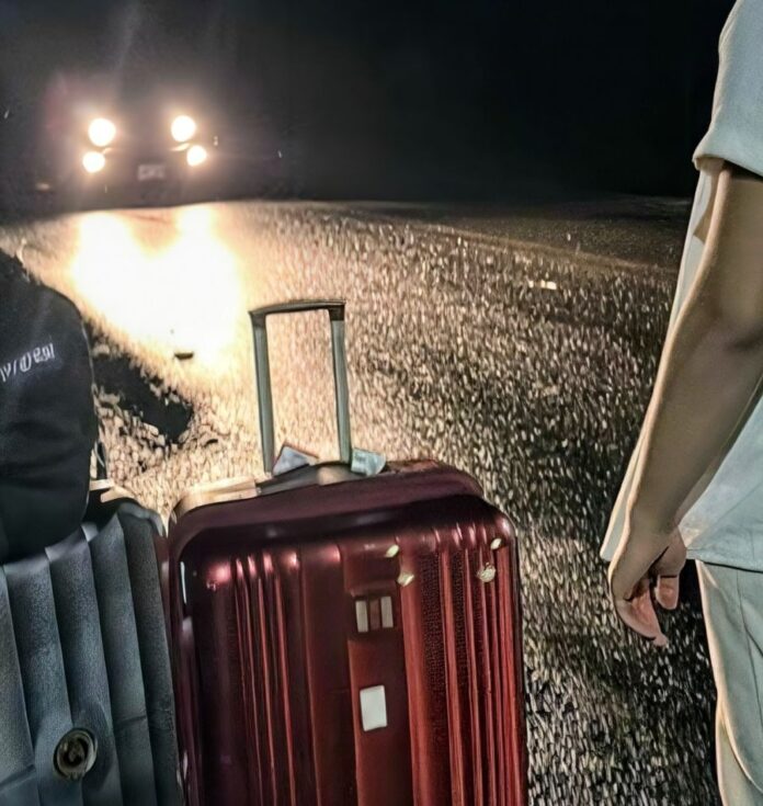 Become a Master Traveler in 2025