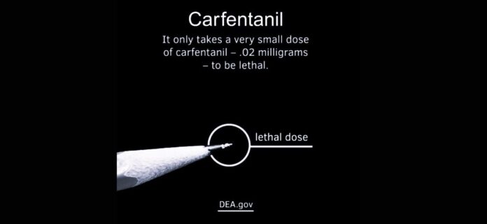 White powdered Carfentanil in a small plastic bag next to a ruler for scale, highlighting its dangerous potency in tiny amounts.